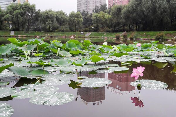 澳门金沙娱乐城app